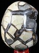 Septarian Dragon Egg Geode - Black Crystals #57393-1